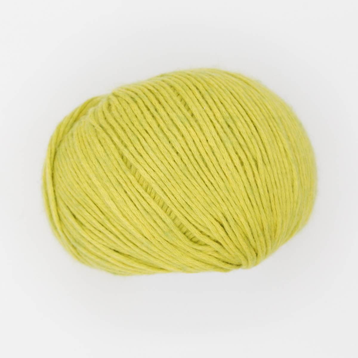 Jody Long Cottontails