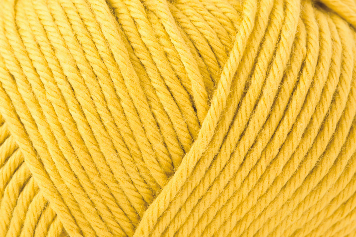 Summerlite DK