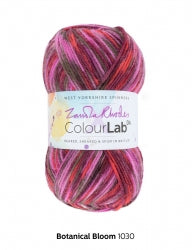 West Yorkshire Spinners ColourLab DK