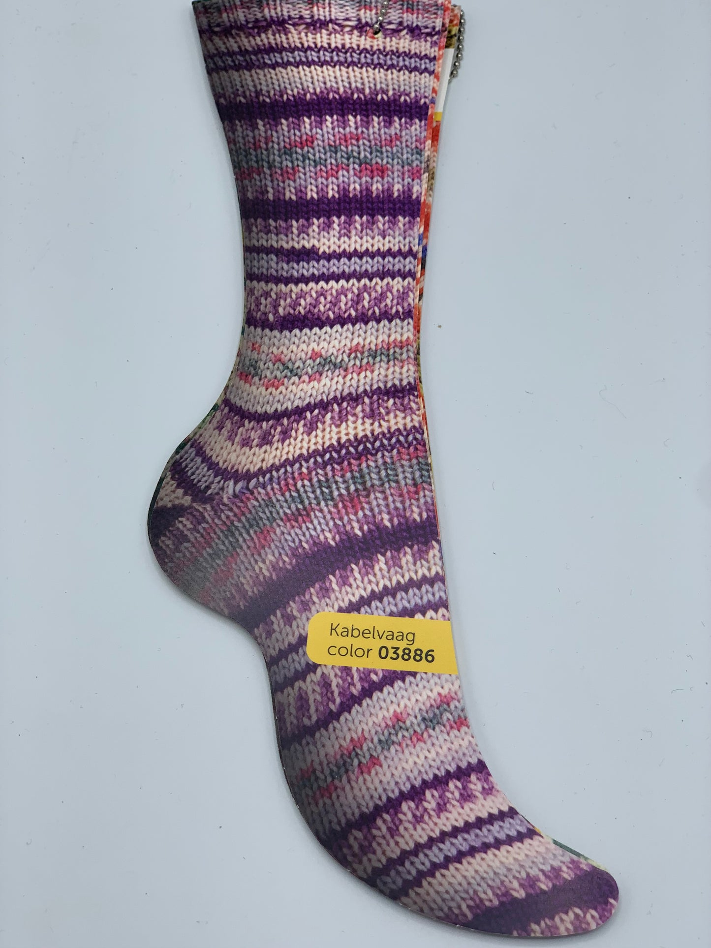 Regia Arne & Carlos Lofoten