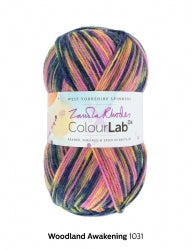 West Yorkshire Spinners ColourLab DK